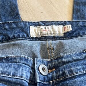 Torrid Classic Blue Denim Pants